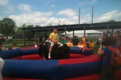 Bull-May-17-11-41-34-AM