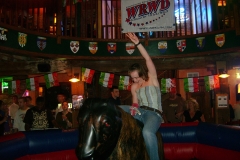 Bull-at-Mahoneys-1-2008