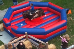Bull-at-Rock-Around-the-Clock-Fishkill-2013-05-18