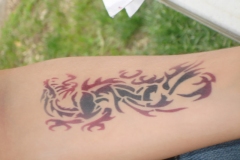 TATs-3033-2